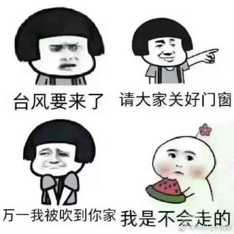 史上最丢人的台风(最奇葩台风) 史上最丢人的台风(最奇葩台风)
