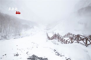 长白山的脾气 长白山的脾气