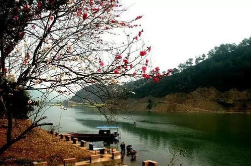 安徽旅游必去十大景点，从水墨宏村到奇绝黄山，解锁皖美山河的N种惊艳