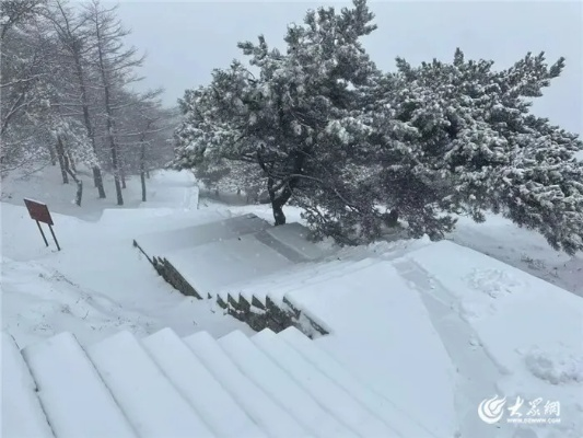 山东暴雪，银装素裹下的考验与温情