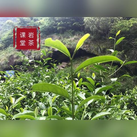 今明两天天气预报，晴雨交替，合理安排出行