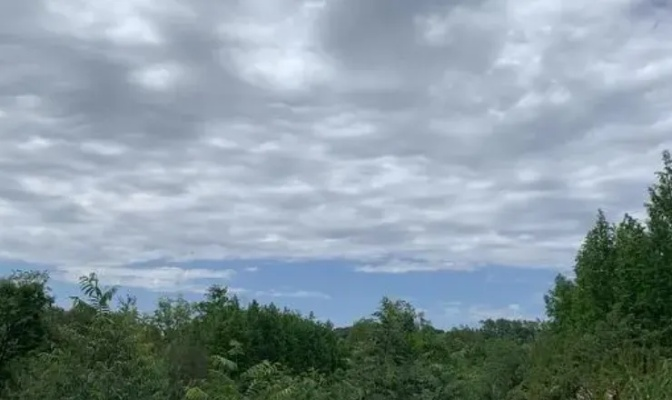 合肥天气，你永远猜不透的盲盒